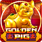 Golden Pig